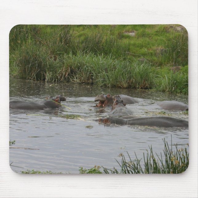 Mousepad Hippo Pond-Mousepad (Frente)