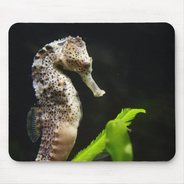Mousepad Hippocampus (Frente)