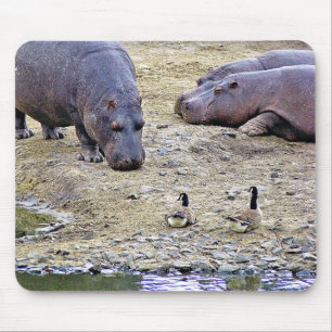 MOUSEPAD HIPPOS