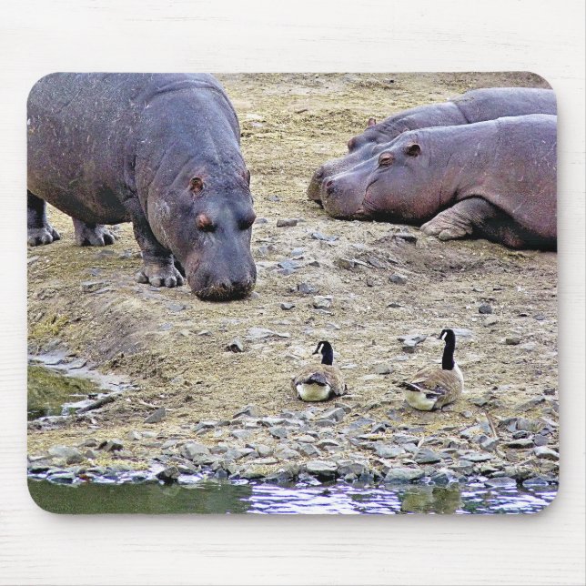 MOUSEPAD HIPPOS (Frente)
