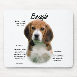 Mousepad História Da Beagle; Tudo Sobre Beagles
