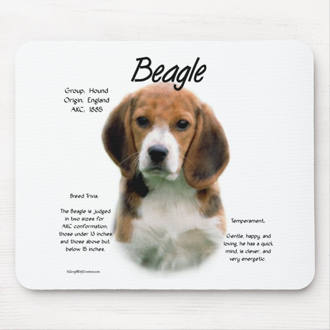 Mousepad História Da Beagle; Tudo Sobre Beagles (Frente)