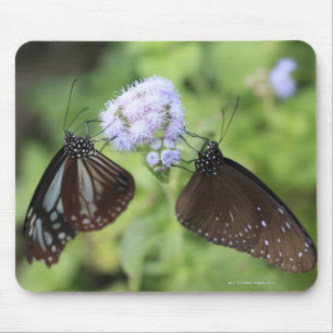 Mousepad Hodokubo, Hino, Tokyo, Japão 3