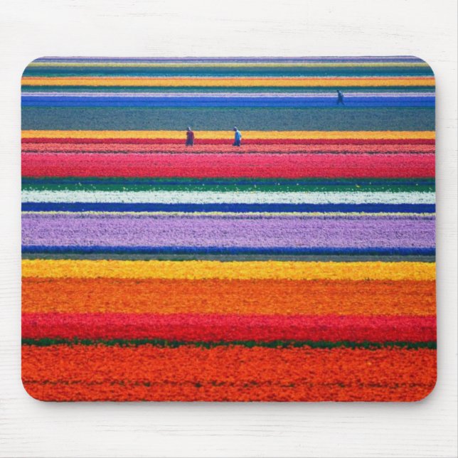 Mousepad Holland, campos da tulipa (Frente)