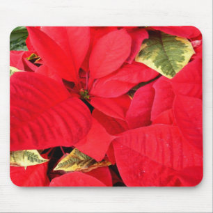 Mousepad Holly Point Poinsettias Holiday Floral
