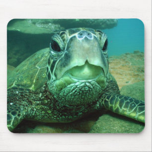 Mousepad hono