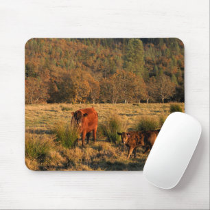 Mousepad Hora da Família.......