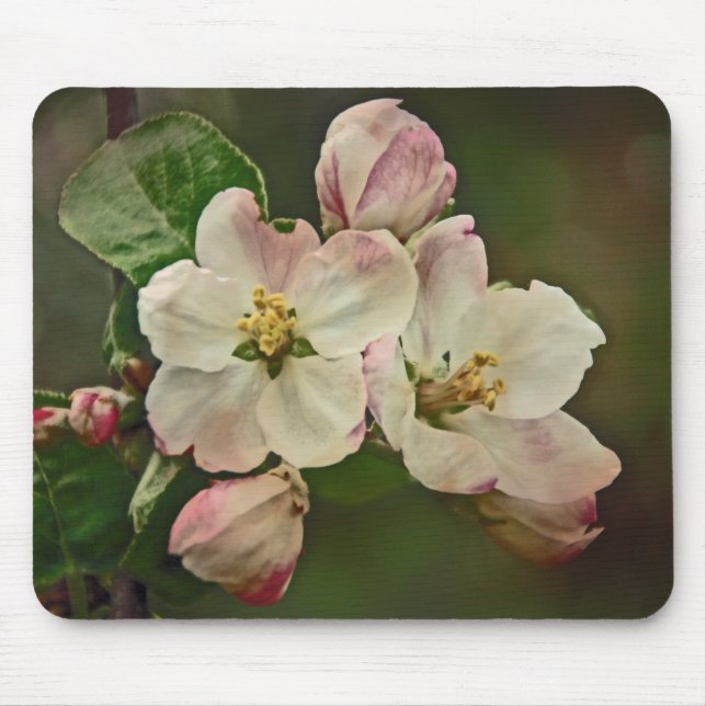 Mousepad Hora do Flor de Maçã (Frente)