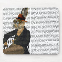 Horatio Hare Em Cadeira