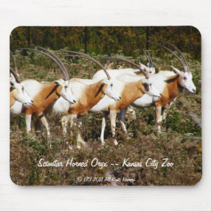 Mousepad Horned do Oryx do Scimitar