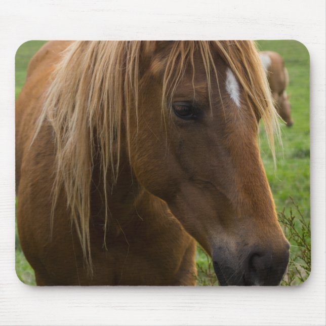 Mousepad Horse Hello (Frente)