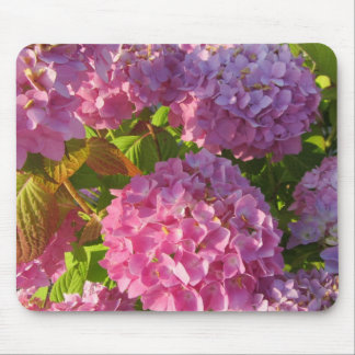 Mousepad Hortênsias Rosa