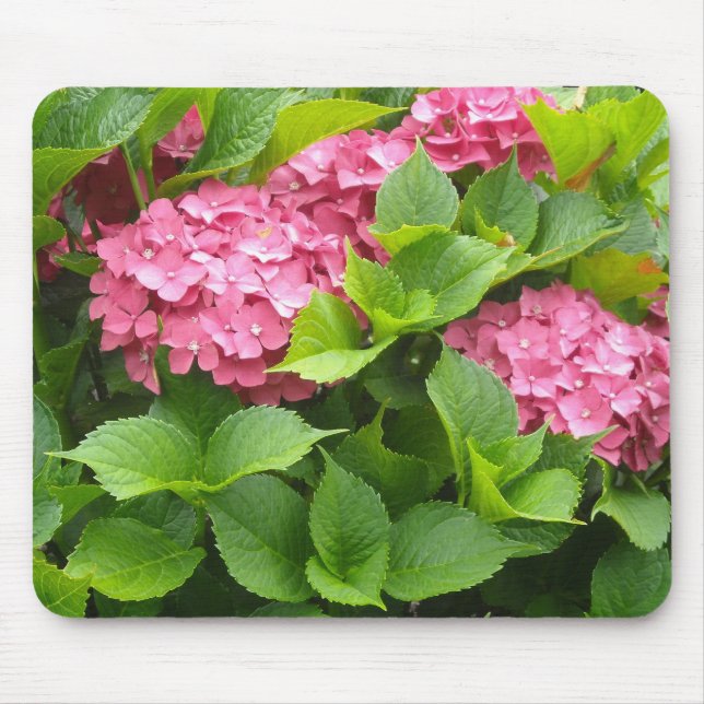 Mousepad Hortênsias Rosa Intenso (Frente)