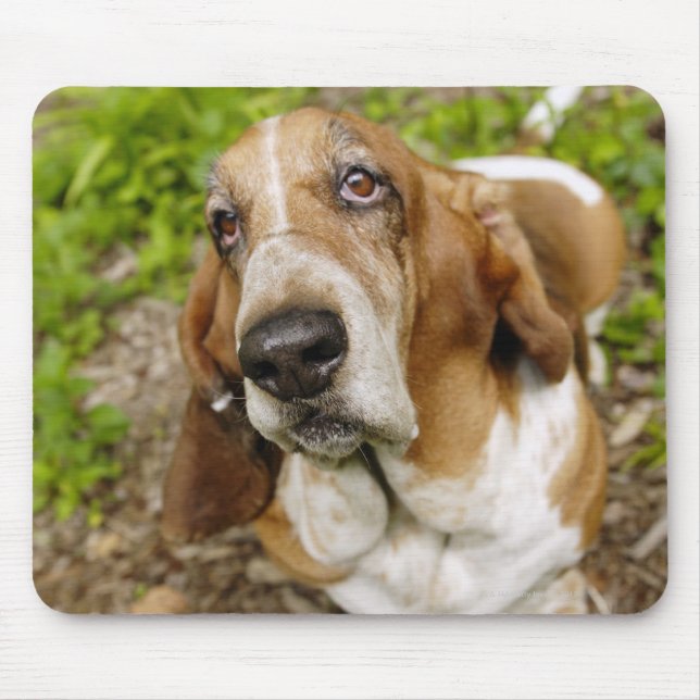 Mousepad Hound Basset 2 (Frente)