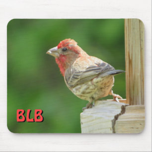 Mousepad House Finch com suas iniciais 