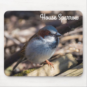 Mousepad House Sparrow