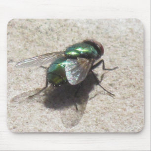 Mousepad - Housefly