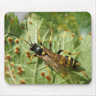 Mousepad Hoverfly