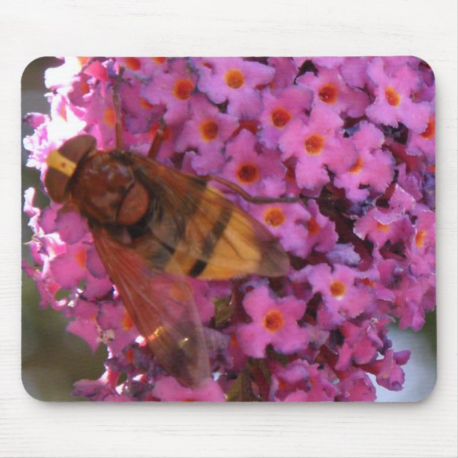 Mousepad Hoverfly (Frente)