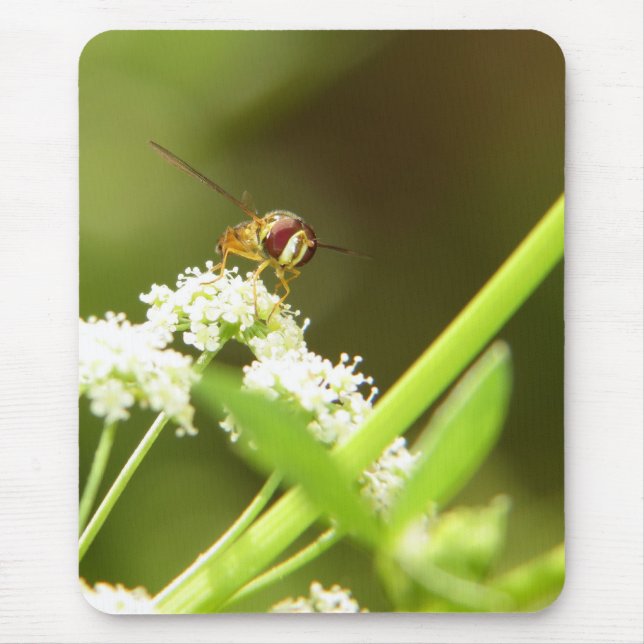 Mousepad Hoverfly no aipo (Frente)