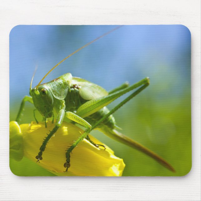 MOUSEPAD HUGO (Frente)