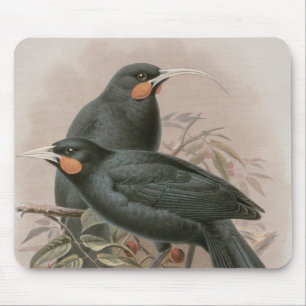 Mousepad Huia