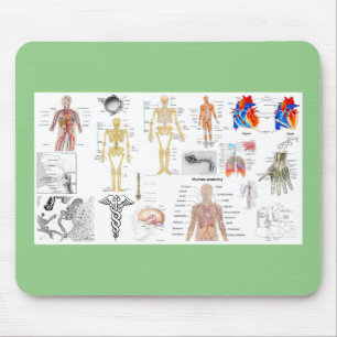 Mousepad Human Anatomy Medical Charts