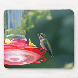 Mousepad Hummingbird