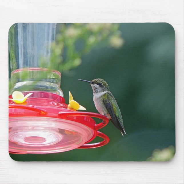 Mousepad Hummingbird (Frente)