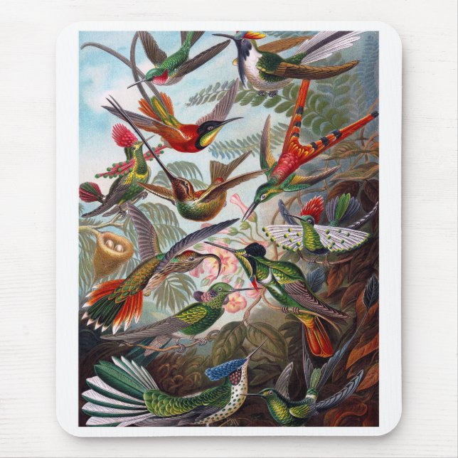 Mousepad Hummingbird (Frente)