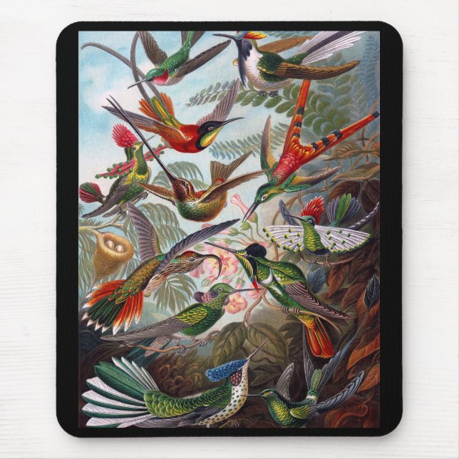 Mousepad Hummingbird (Frente)