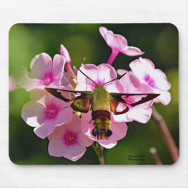 Mousepad Hummingbird (Frente)