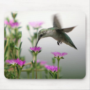 Mousepad Hummingbird