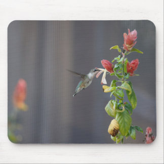 Mousepad Hummingbird