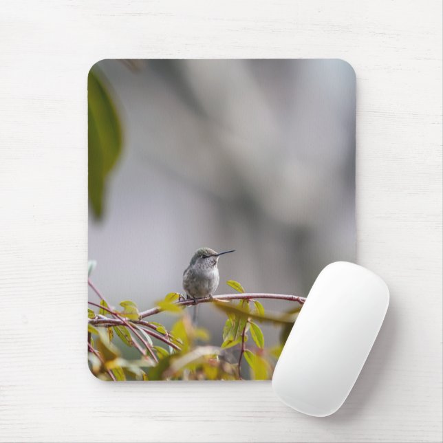Mousepad Hummingbird 3346 (Com mouse)
