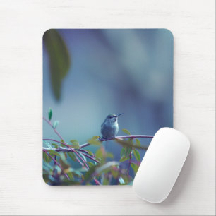 Mousepad Hummingbird 5738