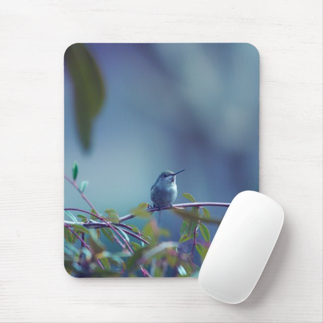 Mousepad Hummingbird 5738 (Com mouse)