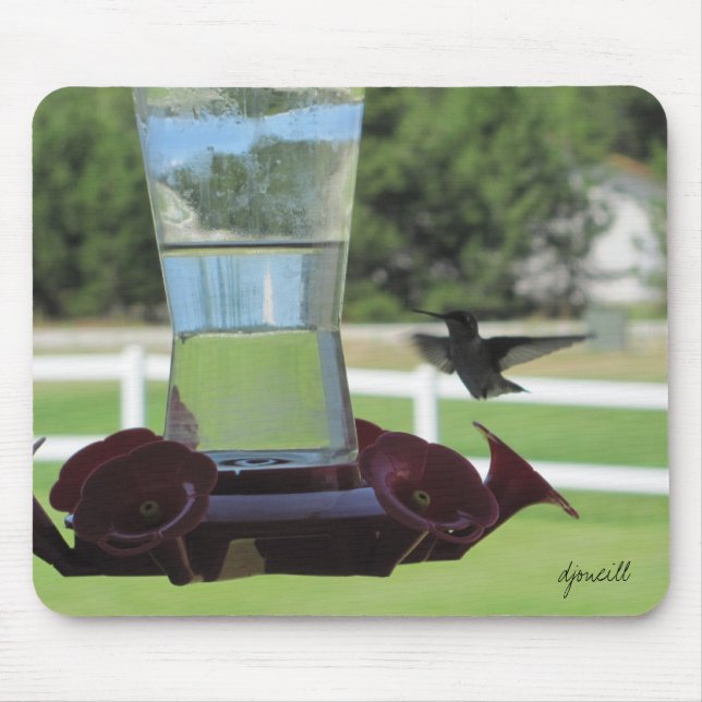 Mousepad Hummingbird e alimentador (Frente)