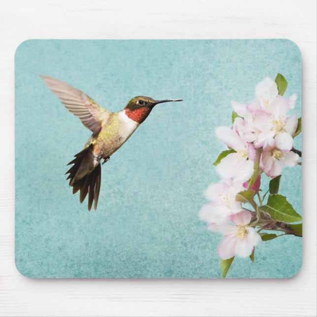 Mousepad Hummingbird e Sangue de Apple (Frente)
