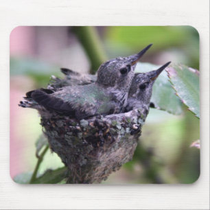 Mousepad Hummingbird Pasta do mouse para fotografia