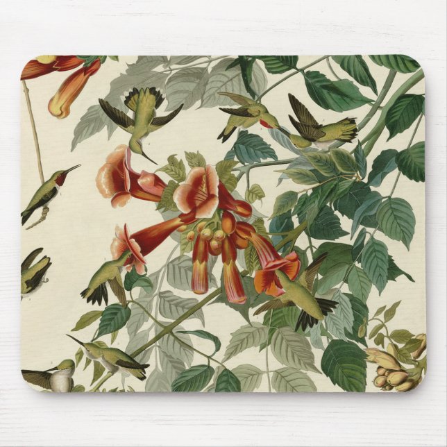 Mousepad Hummingbird Ruby Throbon Audubon (Frente)
