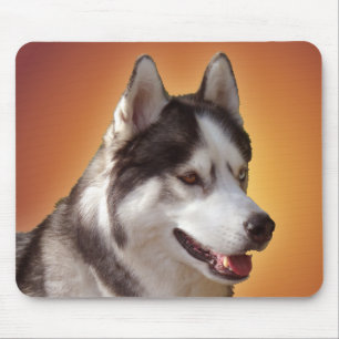 Mousepad Hussepad Siberiano dá cães malamutes