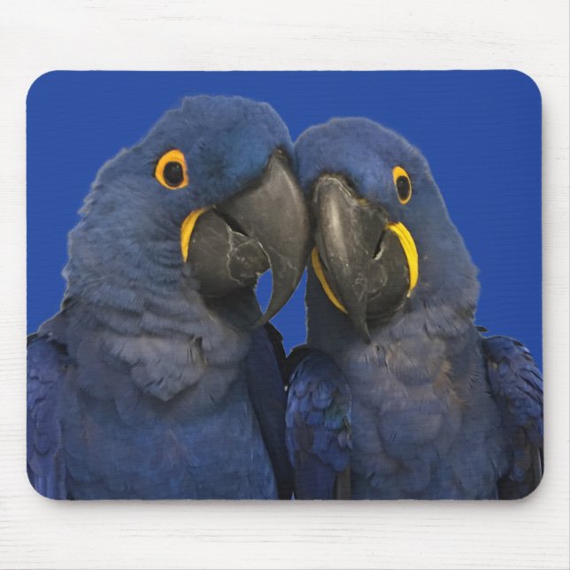 Mousepad Hyacinth Macaw Parrot Bird Rare Blue (Frente)