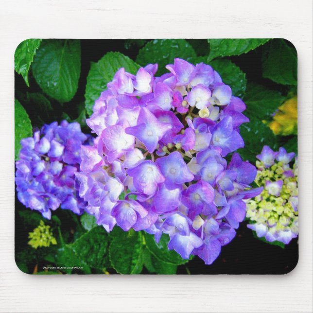 Mousepad Hydrangea do verão (Frente)
