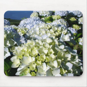 Mousepad Hydrangeas