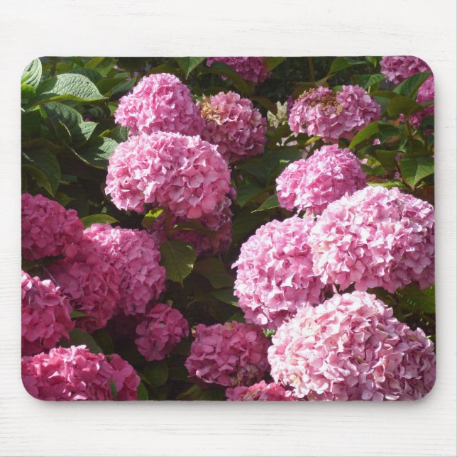 Mousepad Hydrangeas cor-de-rosa (Frente)