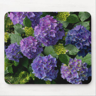 Mousepad Hydrangeas roxas azuis   muito peri periwinkle  
