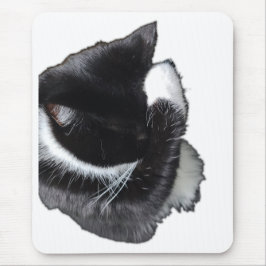 Mousepad I Can't Even Right Meow