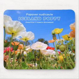 Mousepad Iceland Poppy