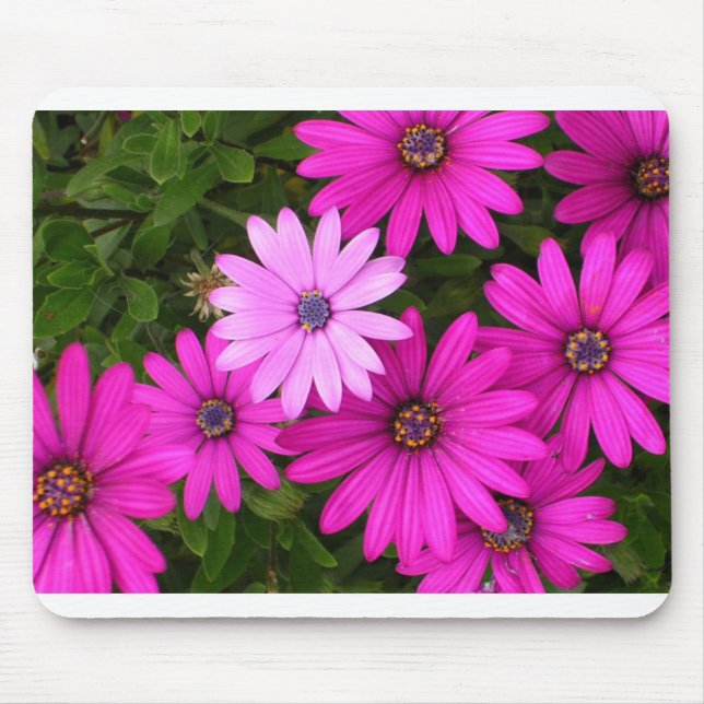 Mousepad Identidade (mousepad) (Frente)